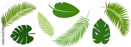 Set of different green tropical leaves. Vector illustration isolated on white background