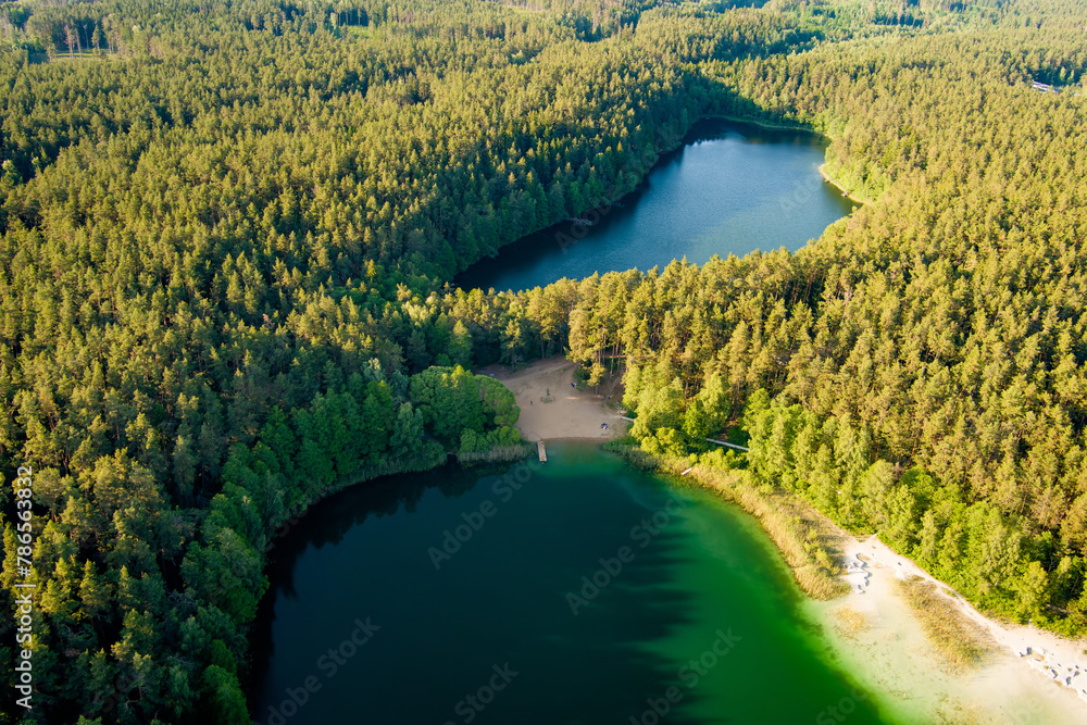 Fototapeta premium Aerial view of beautiful green waters of lake Gela. Birds eye view of scenic emerald lake surrounded by pine forests. Clouds reflecting in Gela lake, Lithuania.