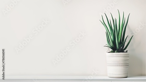 white background  minimalistic with decorative greenery  meant for business website