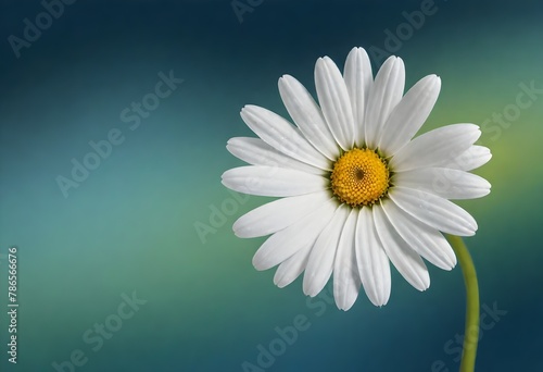 Close-up of a white daisy with a yellow center against a gradient blue and green background