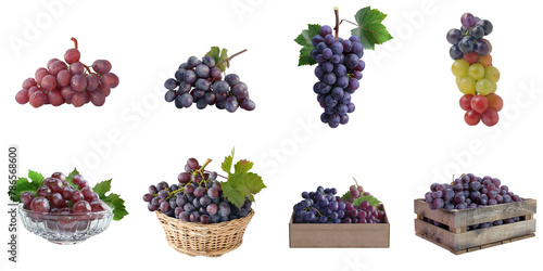 Organic grape png set collection in 3d transparent no background.