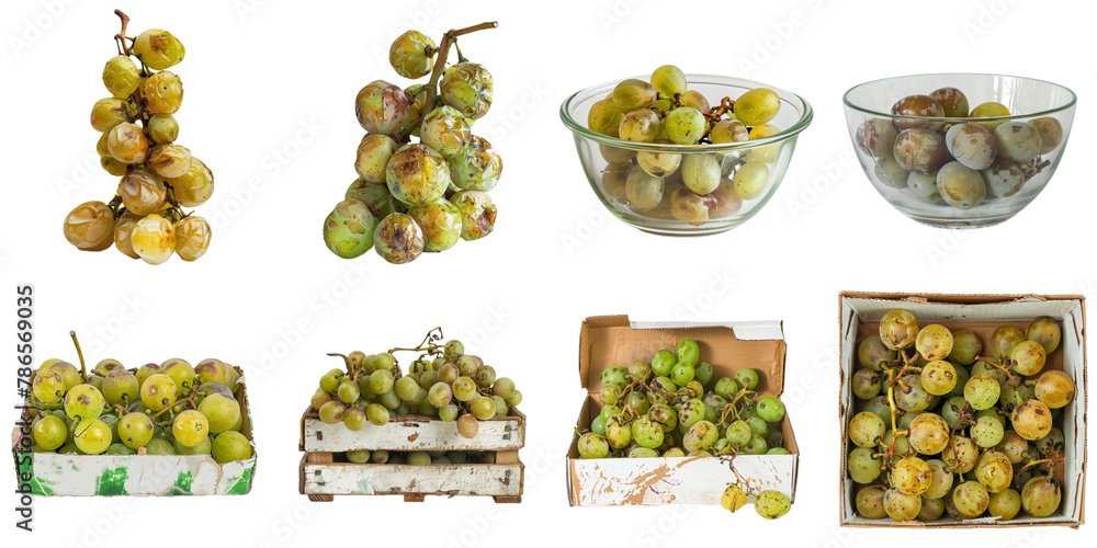 Rotten green grape png collection in 3d transparent for product presentation.