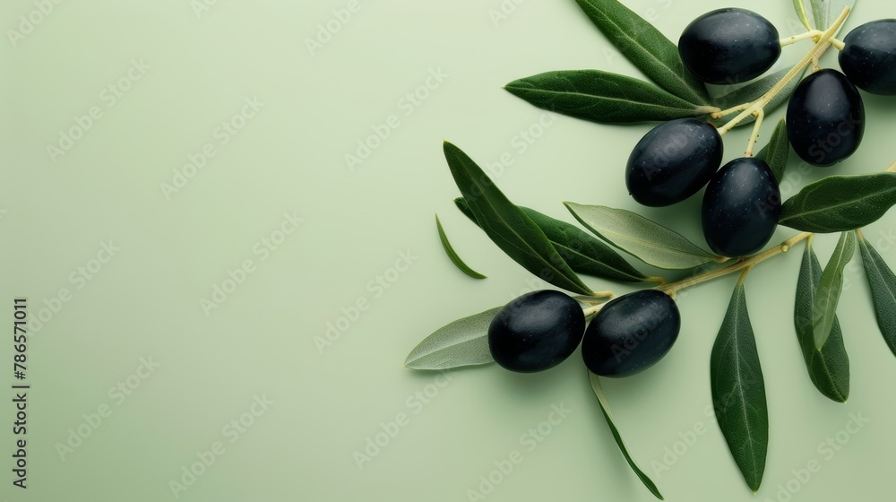 Black olives, a photorealistic illustration against pastel pastel green background with copy space for text or logo, beautifully illuminated by studio lighting Black olives, a photorealistic illustration against pastel pastel green background with copy space for text or logo, beautifully illuminated by studio lighting