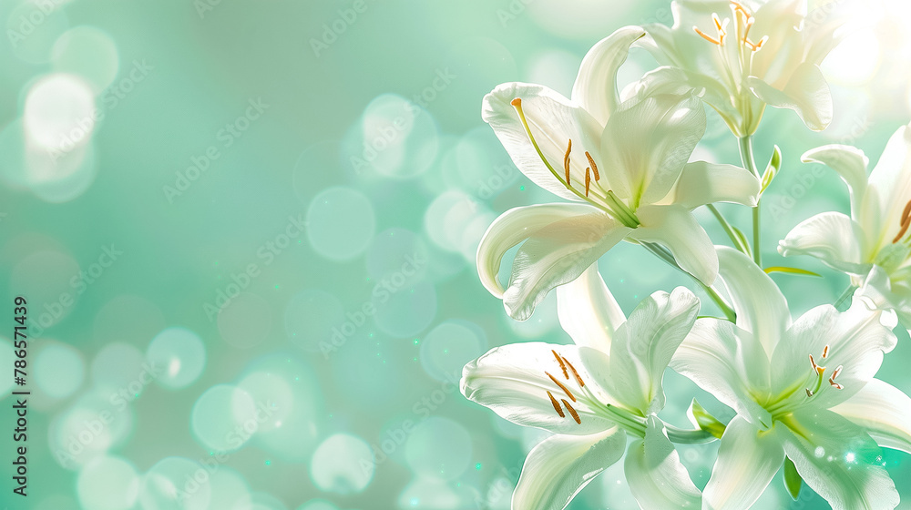 Photo of lilies with a subtle pastel background, decorated with delicate white lilies with space for text Photo of lilies with a subtle pastel background, decorated with delicate white lilies with space for text