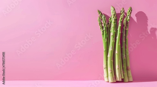 Asparagus A photorealistic illustration against pastel pastel pink background with copy space for text or logo, beautifully illuminated by studio lighting 