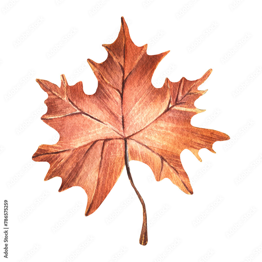 Watercolor illustration of a hand-painted red maple leaf. Clipart. Autumn, leaf fall. Design for stickers, cards. Watercolor illustration of a hand-painted red maple leaf. Clipart. Autumn, leaf fall. Design for stickers, cards.