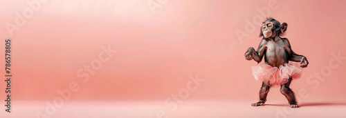 A baby monkey in a pink tutu. The tutu is made of glitter and the monkey is standing on a pink background. Monkey in Ballerina Skirt Dancing on Pink Background Banner with Copy Space