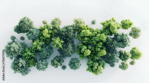 Aerial view woods trees cutout on white background