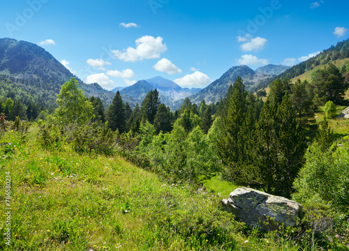 Mountain landscape with green grass and flowers. Andorra, © Serghei V