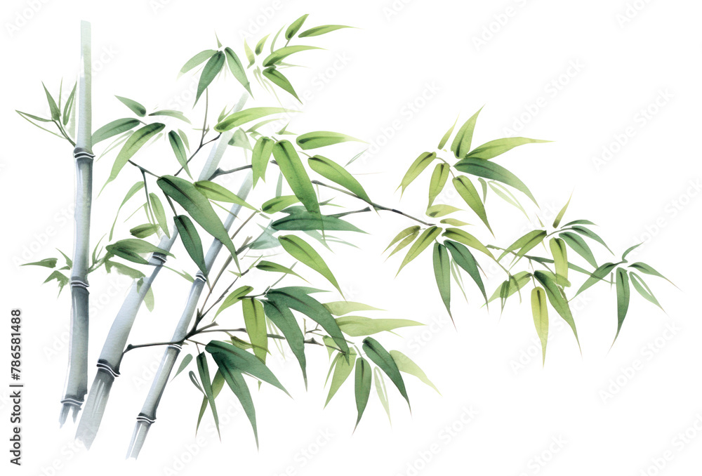 PNG Bamboo plant freshness cannabis PNG Bamboo plant freshness cannabis