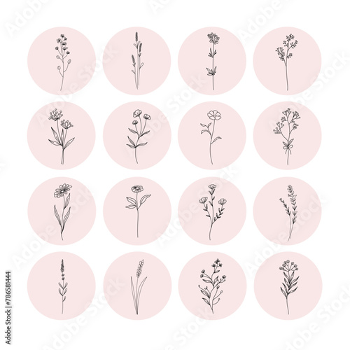 hand drawn vector set flower icons templates in circles, - social media story highlights cover illustrations in trendy linear style	