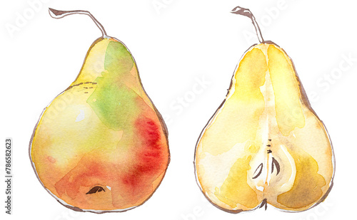 Pear isolated on white. Watercolor hand painted pear ripe artwork.