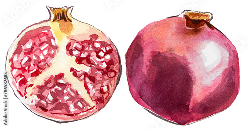 Pomegranate isolated on white. Exotic pomegranate fruit watercolor artwork.