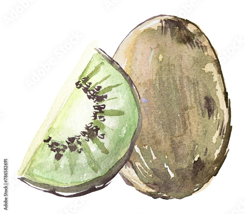 Kiwi fruit isolated on white. Watercolor kiwi artwork.