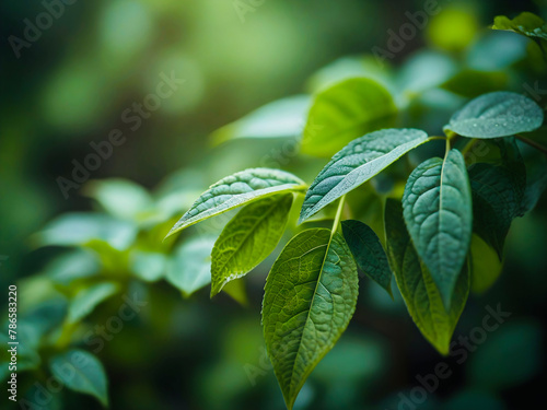 Bright green leaves on trees close-up