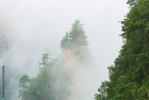Landscape with eroded irregularly shaped sandstone pinnacle in the fog, Zhangjiajie National Forest Park, Hunan province China
