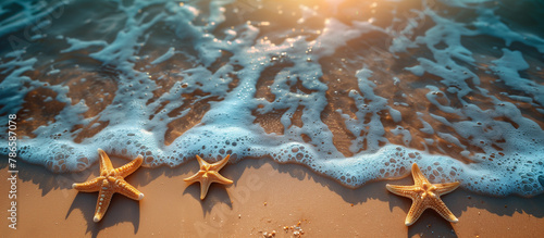 Vacation background. Sea beach with shells and starfish on sand. Summer holiday travel theme.   © elenabdesign
