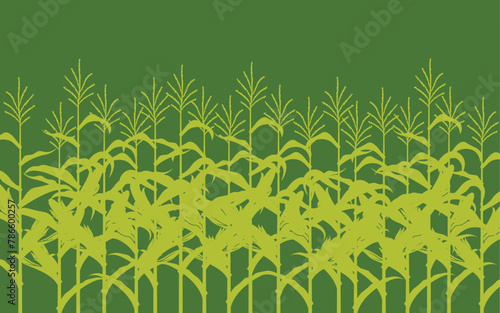 corn field illustration on green background