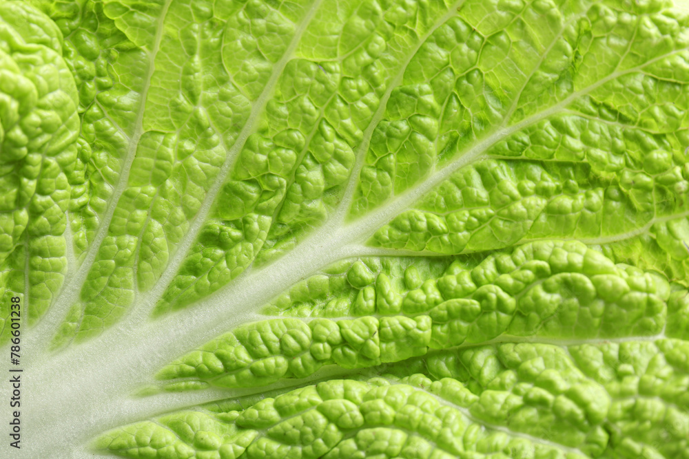 Fresh Chinese cabbage leaf as background, top view Fresh Chinese cabbage leaf as background, top view