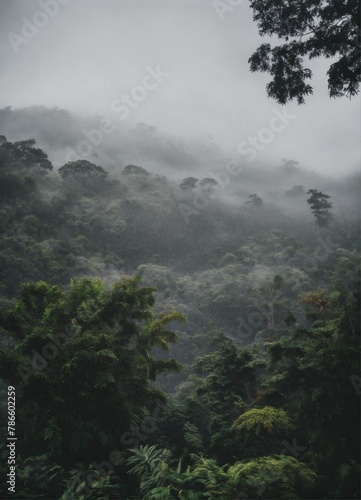 Tree in the clouds  © Sajid