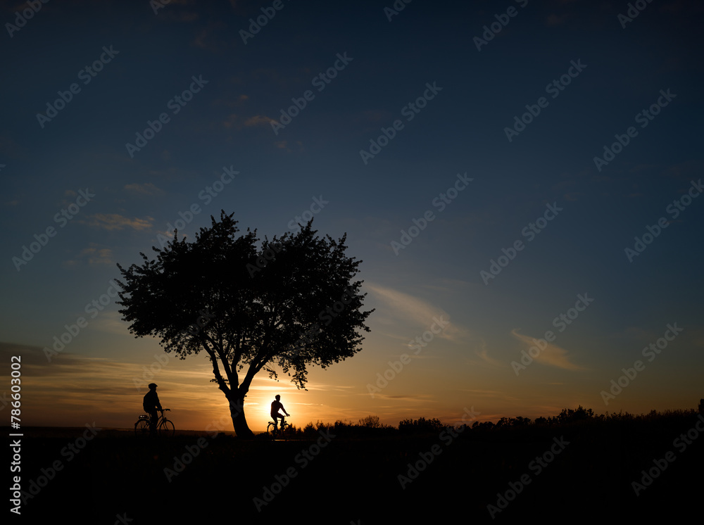 Contours of two cyclists riding under a tree against the background of the setting sun