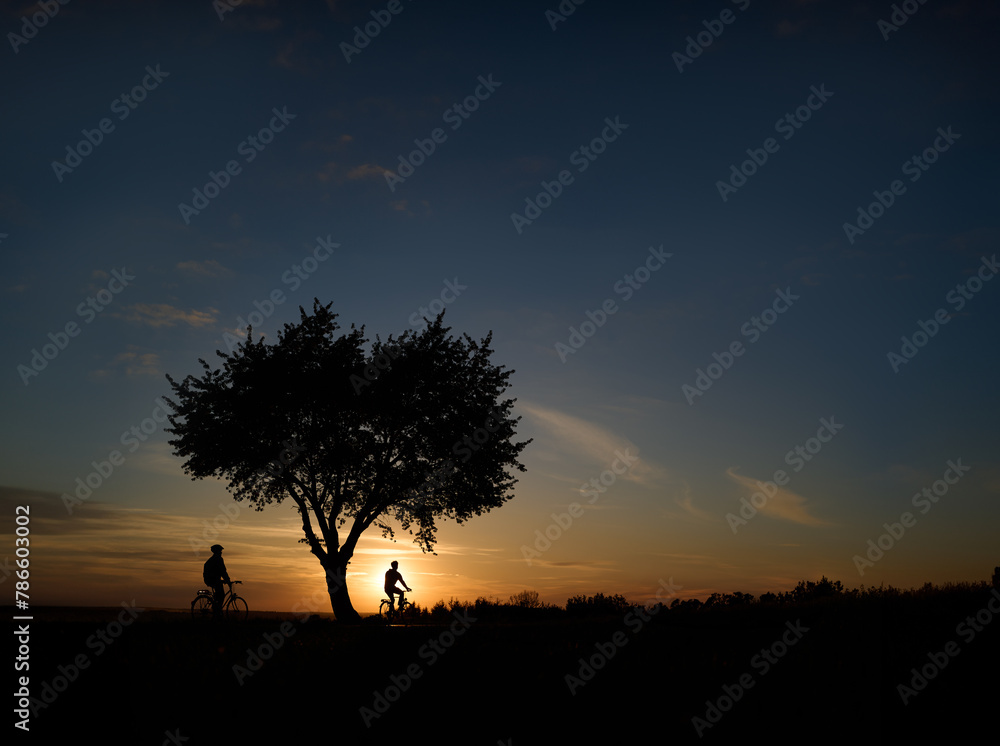Contours of two cyclists riding under a tree against the background of the setting sun Contours of two cyclists riding under a tree against the background of the setting sun