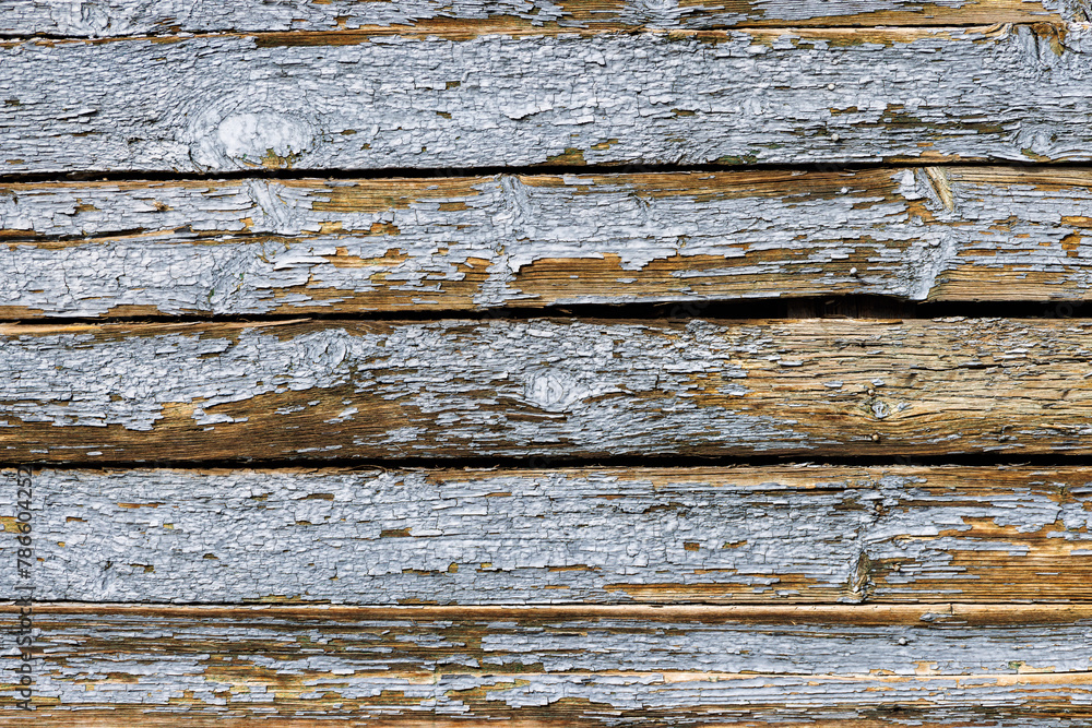 Old, vintage, blue wooden background. The textured surface of decayed, rugged wooden planks.