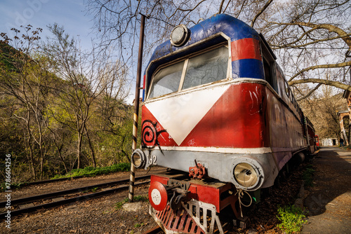Old locomotive carriage with vibrant graffiti colors in natural setting.