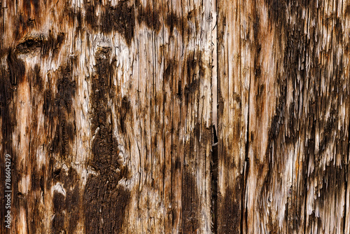 Obraz na płótnie Natural wooden backdrop with unique grooves and color, weathered timber texture. w salonie