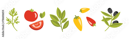 Pizza Cooking Ingredient Flat Item and Element Vector Set