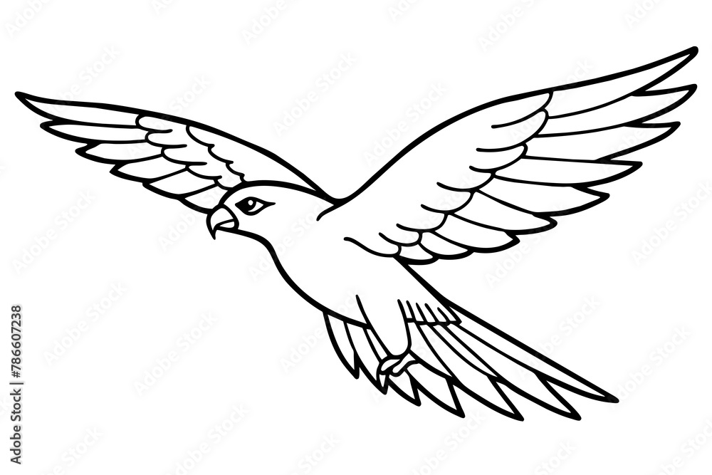 Obraz premium A noble falcon soaring through the sky with wings outstretched line art vector