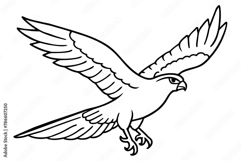 Fototapeta premium A noble falcon soaring through the sky with wings outstretched line art vector