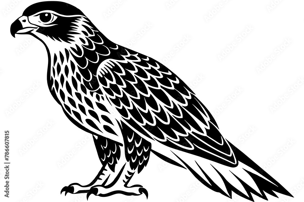 Obraz premium North American tailed hawk silhouette vector style