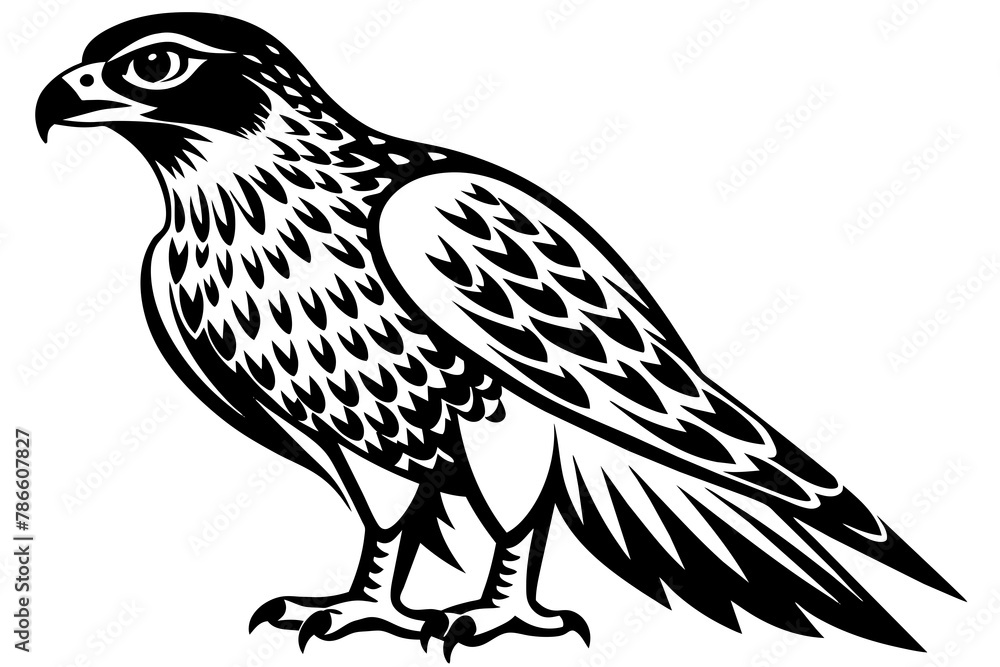 Obraz premium North American tailed hawk silhouette vector style