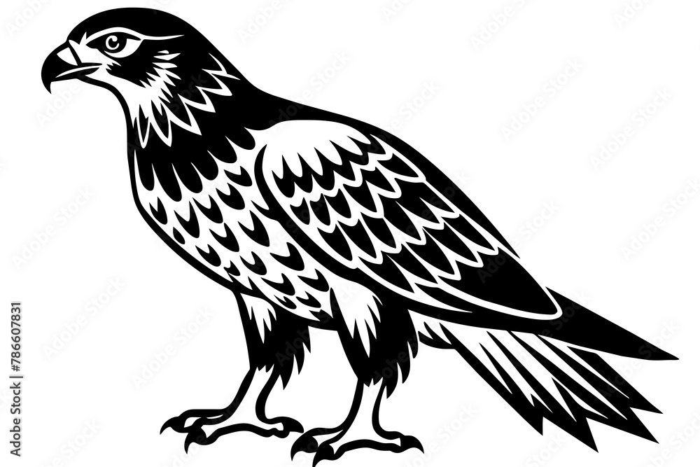 Fototapeta premium North American tailed hawk silhouette vector style