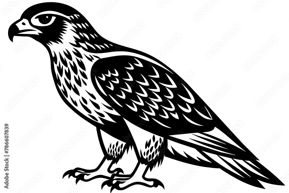 Obraz premium North American tailed hawk silhouette vector style