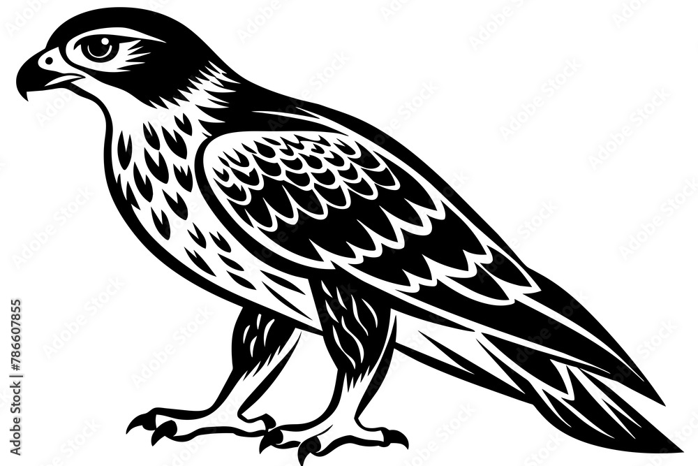 North American tailed hawk silhouette vector style North American tailed hawk silhouette vector style