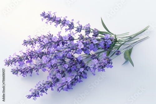 Vibrant purple flowers on a clean white background, perfect for various design projects