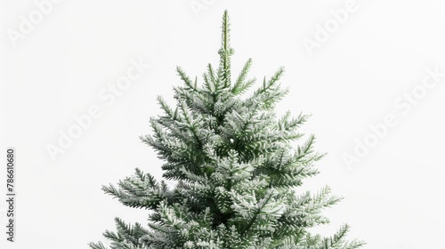Snowy pine tree perfect for winter designs