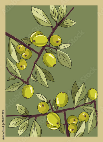 Olive branch with olives