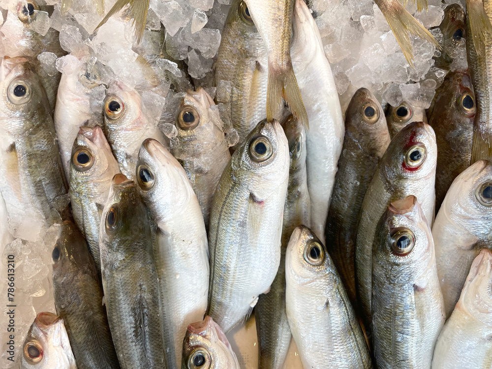 Obraz premium Fresh sea fish on the counter. Freshly caught fish with ice at a farmers market in Greece. Seafood. Healthy seafood. Sea delicacies. Fresh seafood.