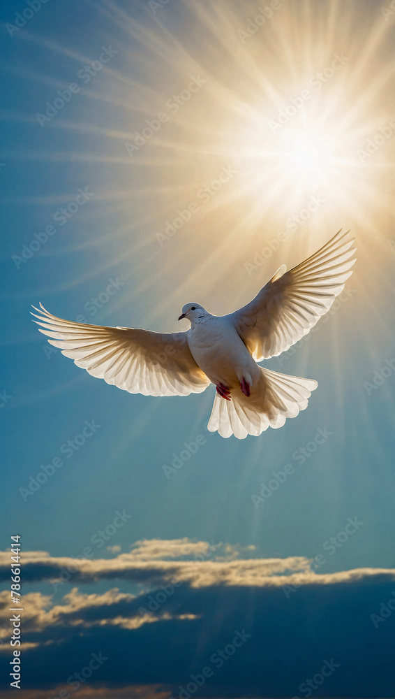 Beautiful white dove flying through the blue sky