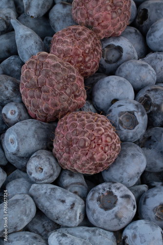 Blueberries, Raspberries and Honeyberries Backgrounds