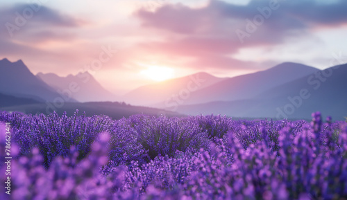 Endless fields of wild lavender against the backdrop of a majestic sunset over a mountain range © Eugen Snipe