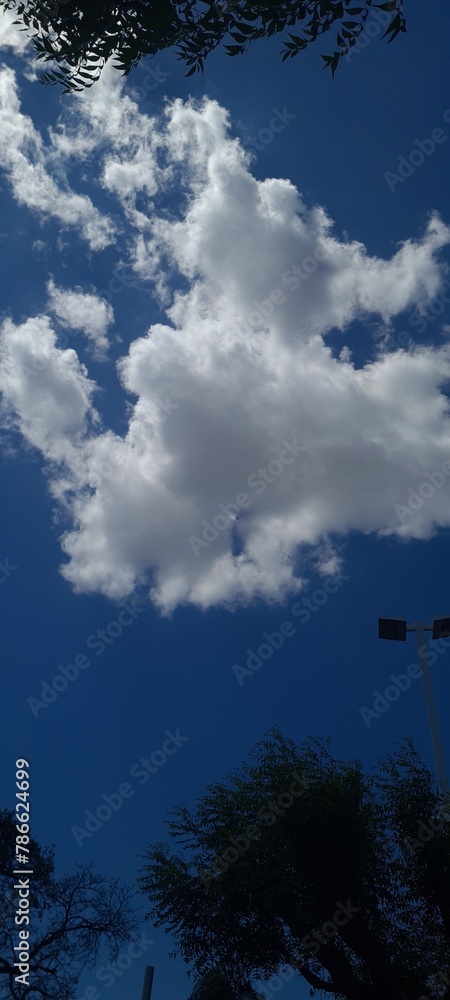 Cielo Cielo