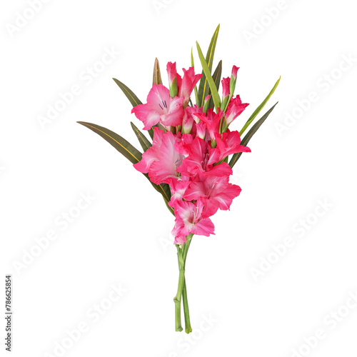 Bouquet of mixed flowers with leaves isolated on transparent background	