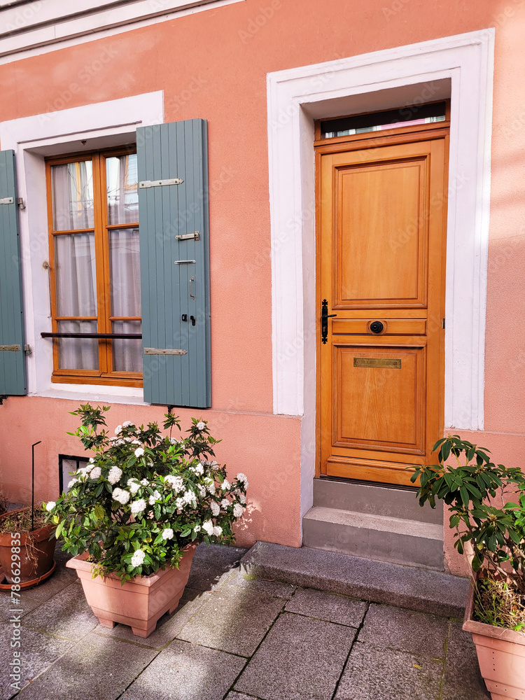 The door of the house and the flowers in front of the door. Facade decorations of a vintage house with green plants. Home garden. Side view The door of the house and the flowers in front of the door. Facade decorations of a vintage house with green plants. Home garden. Side view