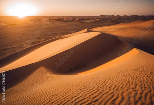 sand dunes in the desert