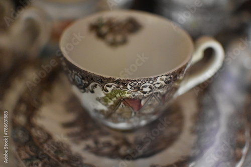 Tea Cup on a Saucer