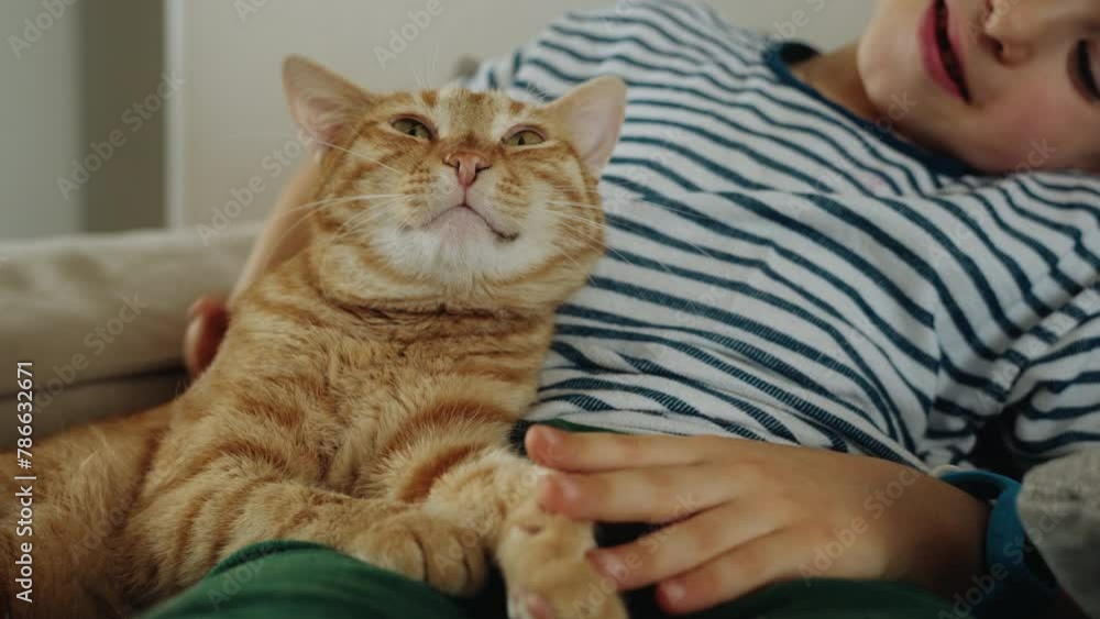 A child with a cat having fun relaxing on sofa together at home. Relationship cat and human. Friendship with pet. A child with a cat having fun relaxing on sofa together at home. Relationship cat and human. Friendship with pet.